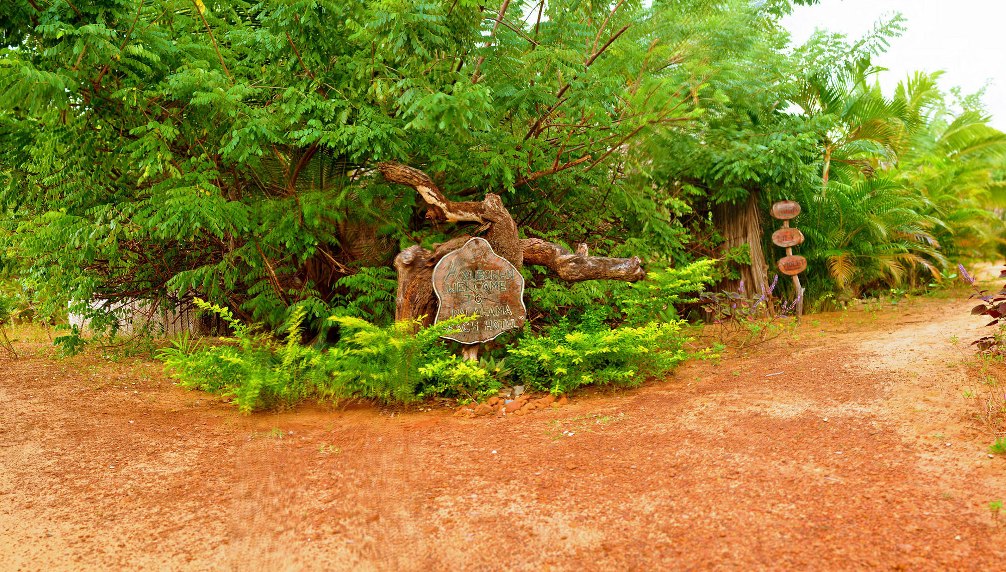 Etalai Palagama Beach מראה חיצוני תמונה